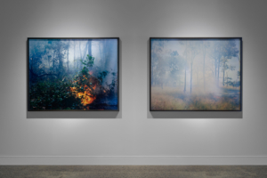 Matthew Stanton, Deep North, installation view at NorthSite Contemporary Arts. Photo: Matthew Stanton