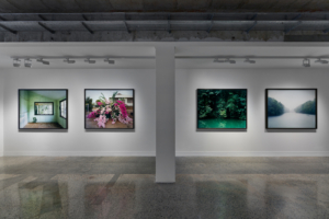 Matthew Stanton, Deep North, installation view at NorthSite Contemporary Arts, 2022. Photo: Matthew Stanton
