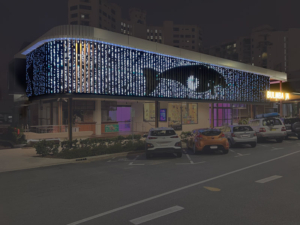 Bulmba-ja LED Facade at night featuring the work of David Bosun