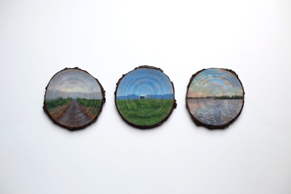Three artworks on a white wall. All three are acrylic paint on timber. The first artwork is a road leading to the horizon, the second is a white farm shed in a grassy field with mountains in the distance and the final is a large body of water.