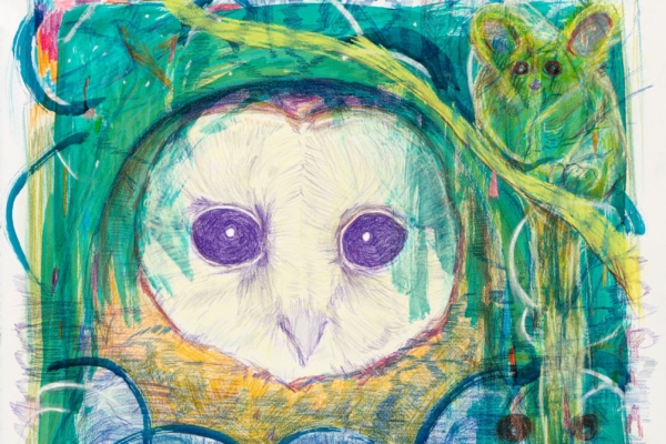 A pastel and pencil drawing on paper of an owl and possum