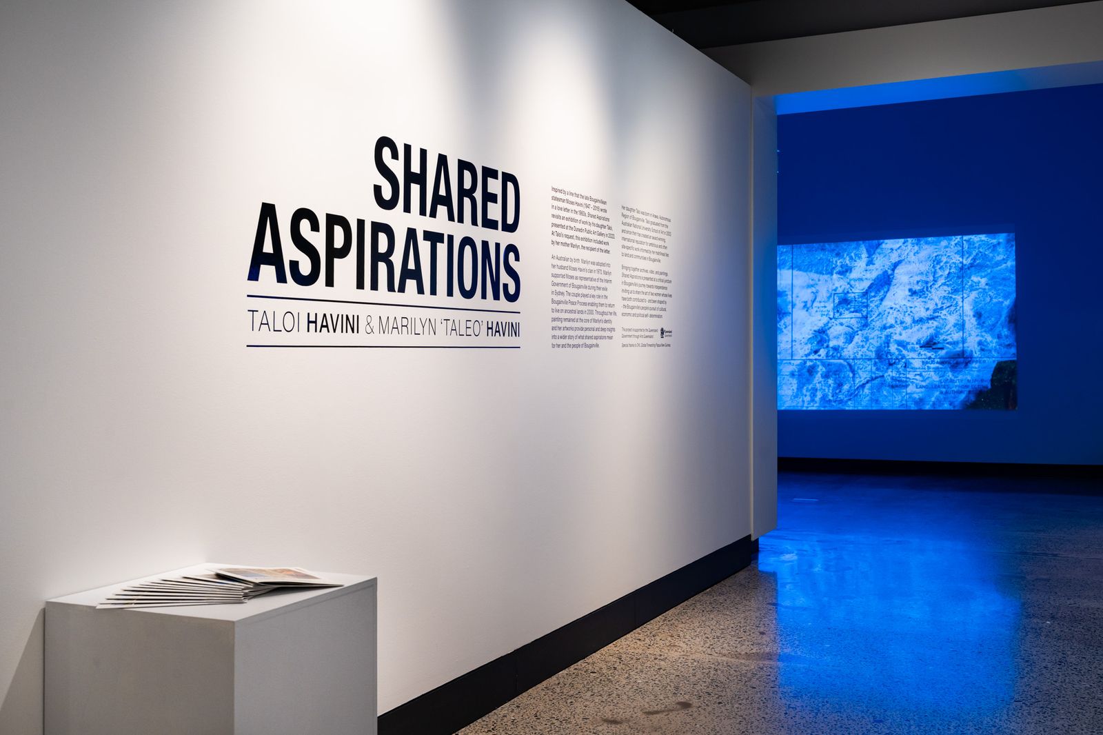 Shared Aspirations Installation View