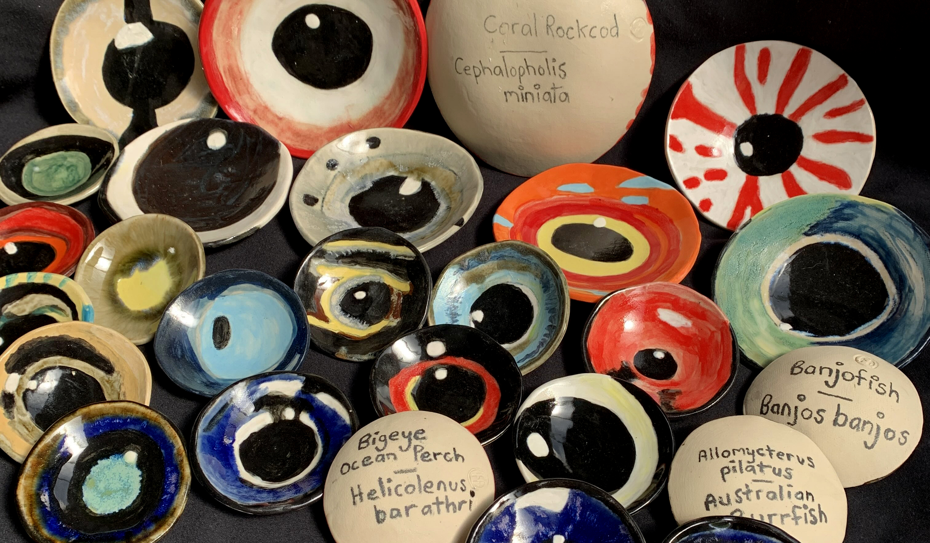 Gabrielle_cooney_fisheyes_May